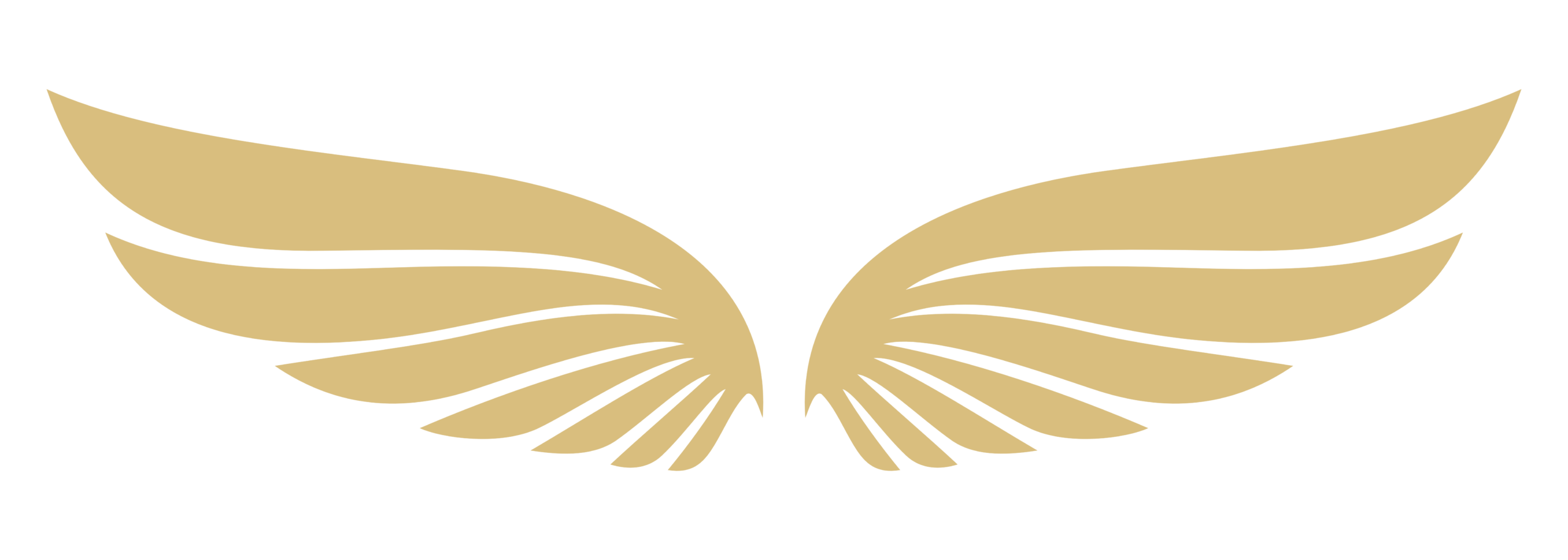 Lucid Path wing mark